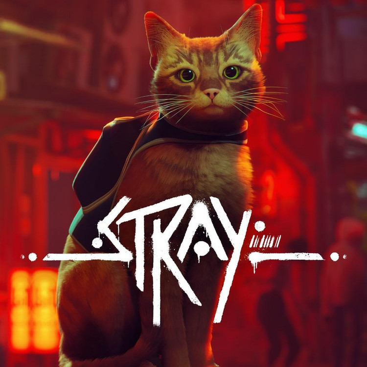 بازی Stray مخصوص PS5